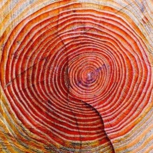 BELLO+TRONCO+DE+LA+PACHAMAMA